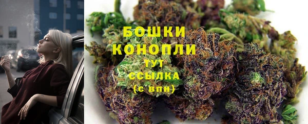 винт Снежногорск